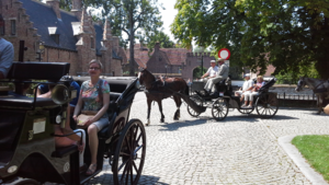 One way to enjoy Bruges. We chose to walk.