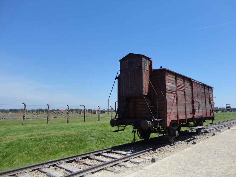 A typical cattle rail car used to herd a hundred prisioners in each.