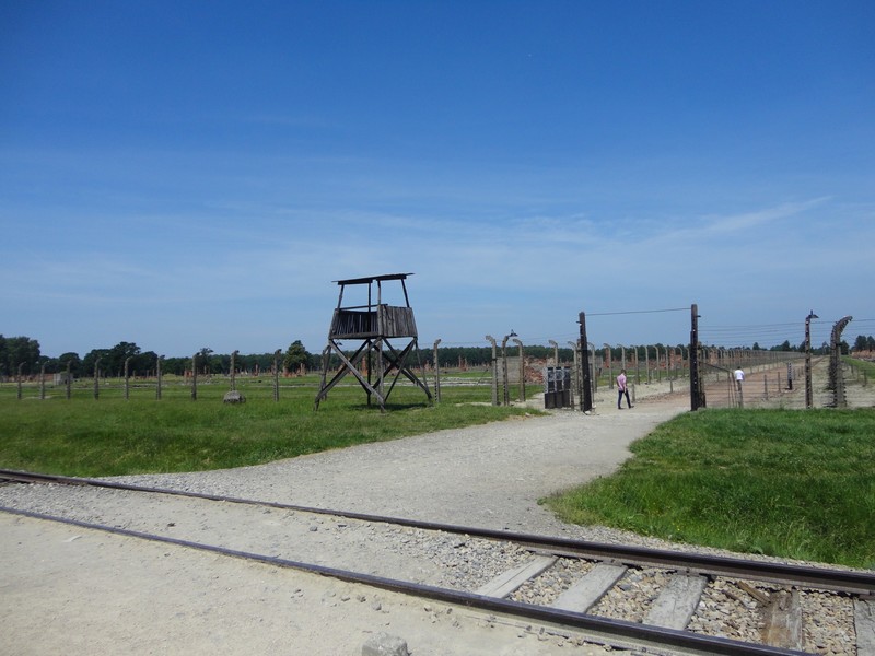 The remains of a section of Birkenau.