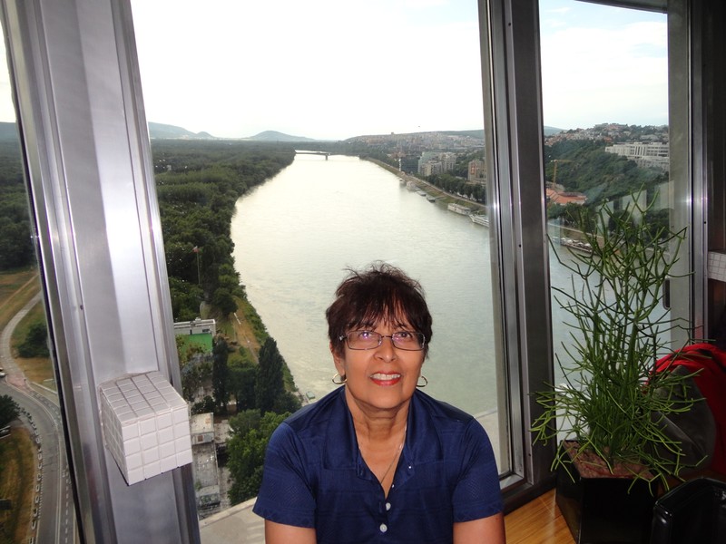 The Danube from the tower.