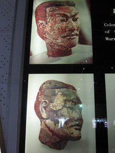 Protected examples of the face pigment which fades on exposure to the dry air.