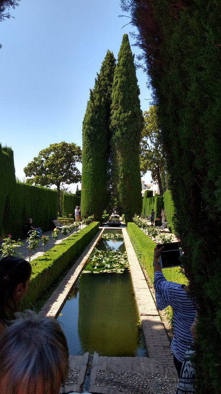 Inside one of the Alhambra Royal gardens.