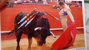 An Andalusian torero's graceful pivot.