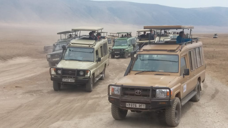 Racing for the best view spots in the Ngorongoro Crater