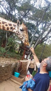 Aghmet feeding the giraffes in Nairobi