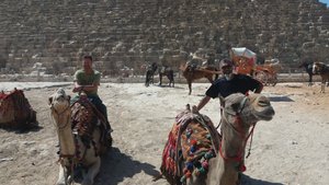 Our new transport at Giza