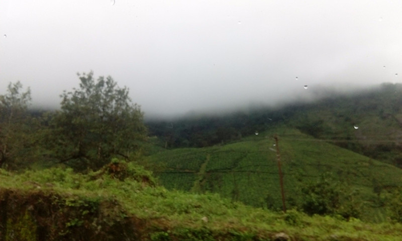 Beautiful view of the Tea Plantation at Valparai.