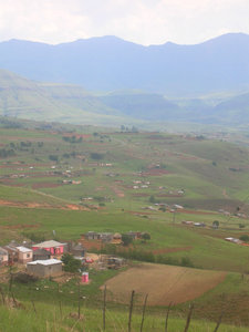 Rural view 