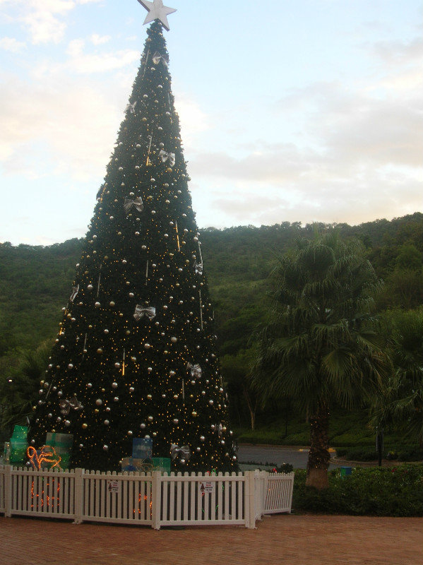 Christmas tree in January at Sun City