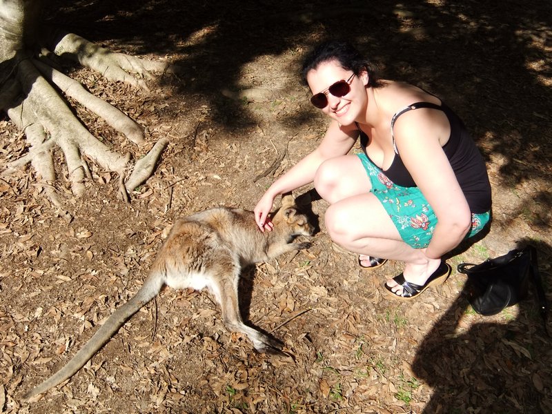 Stroking a red-necked wallaby