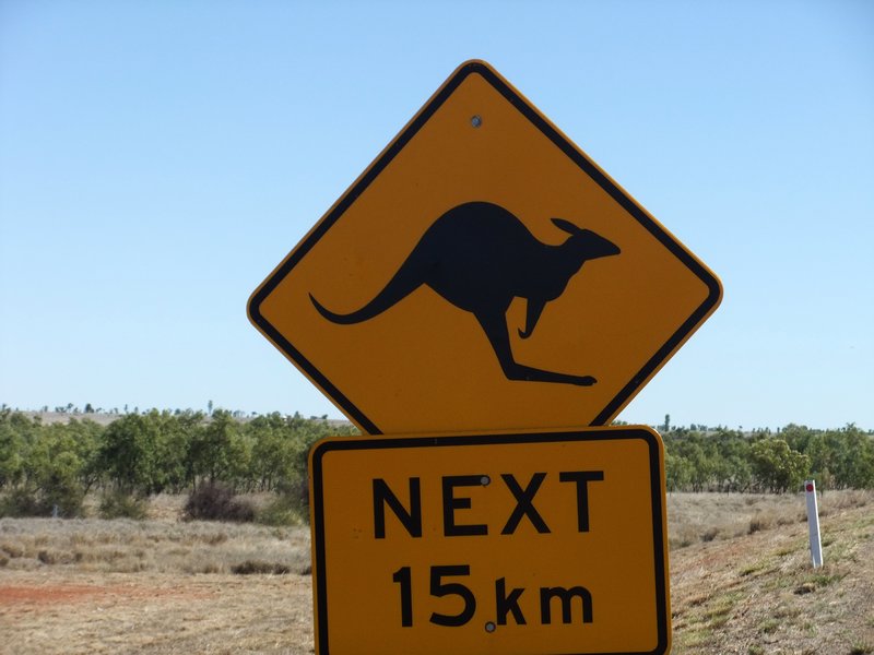 Watch out for kangaroos!