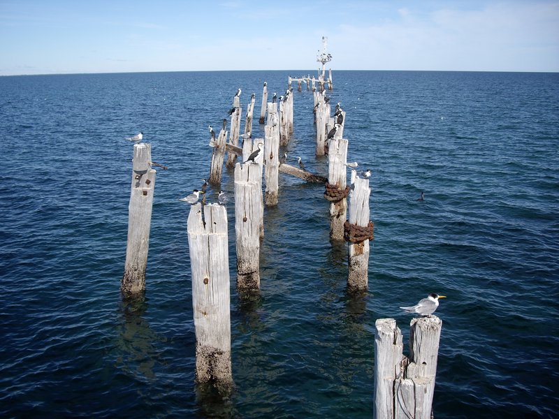 View from the end of the jetty.