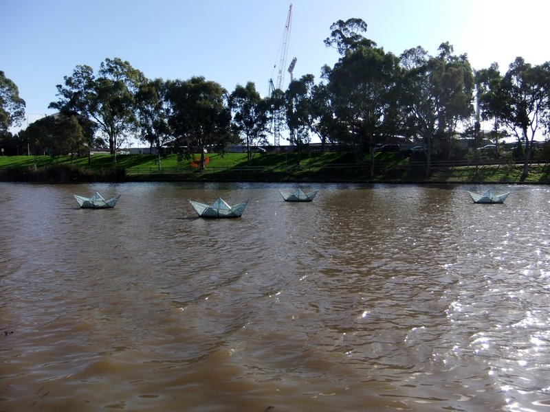 Paper Boats on the River Torrens
