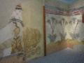 Akrotiri Wall Paintings 
