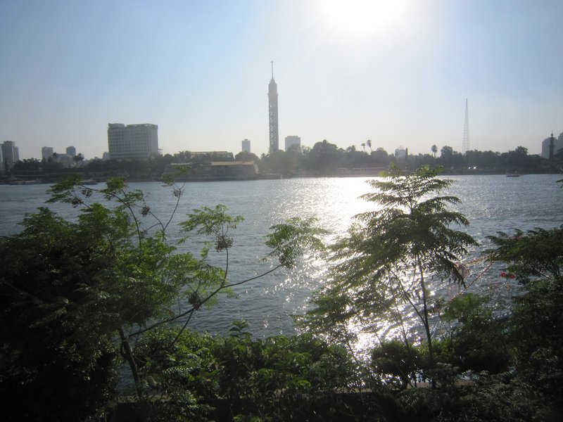 Along the Nile 