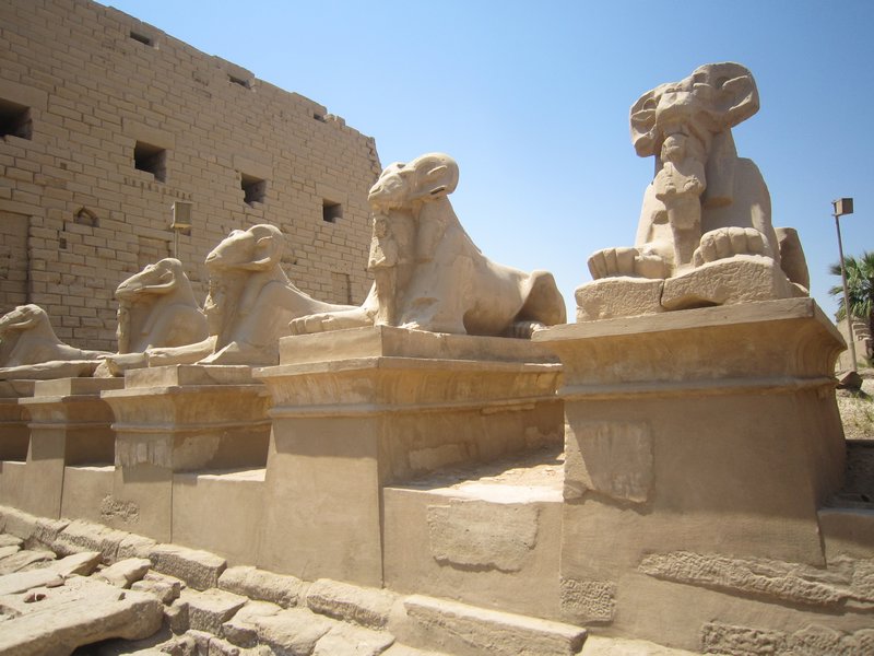 Close-Up of the Sphinxes 