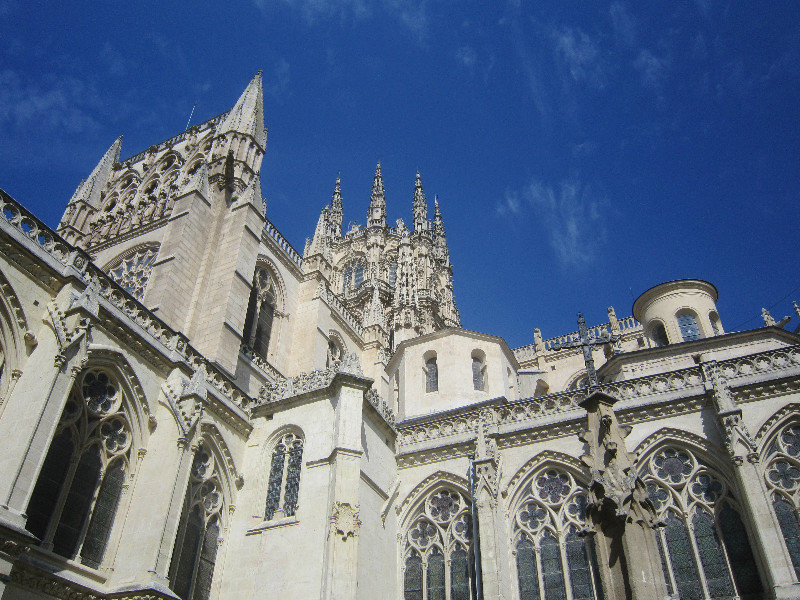 Looking Up from Cloister
