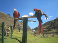 Macaws at Preserve 