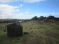 More Toppled Moai 