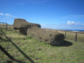 The Great Abandoned Moai 