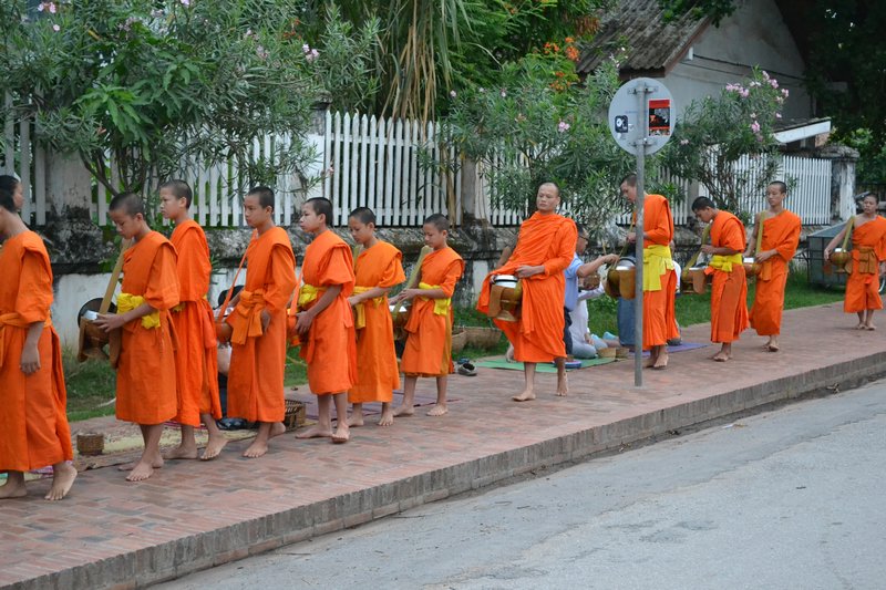 Monks receiving alms in Luang Prabang.