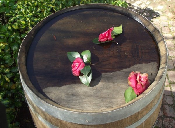 A wine barrel