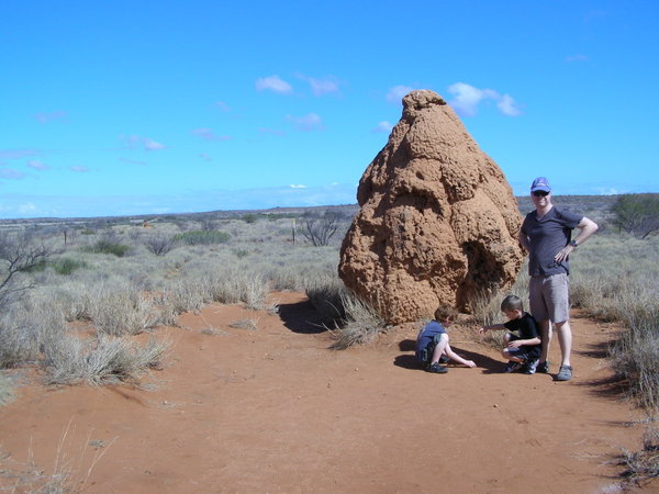 Termite mound outside Exmouth