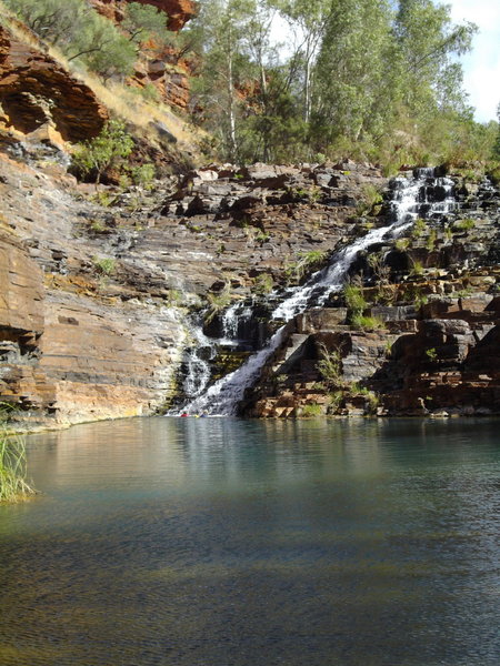 Fortescue Falls - Dales Gorge