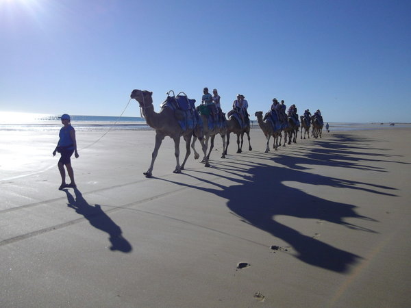 Camel riding, Cable Beach