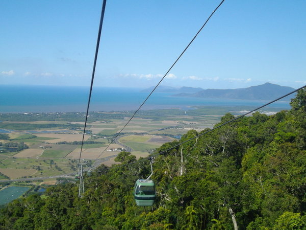 View from Skyrail near Cairns