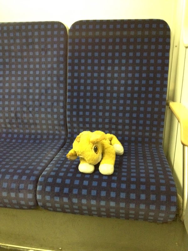 Simba in the subway