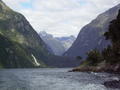 Cruise on Milford Sound