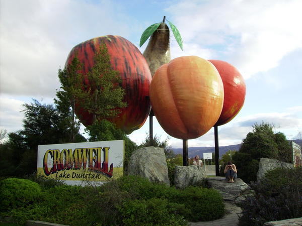 NZ - you get fruit the size of your head...