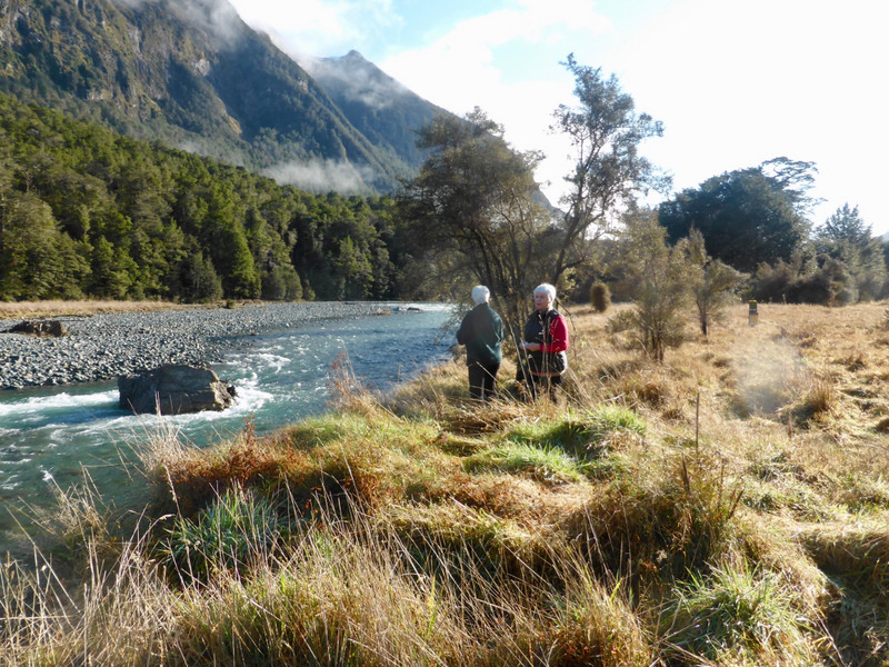 Heading to Milford Sound.