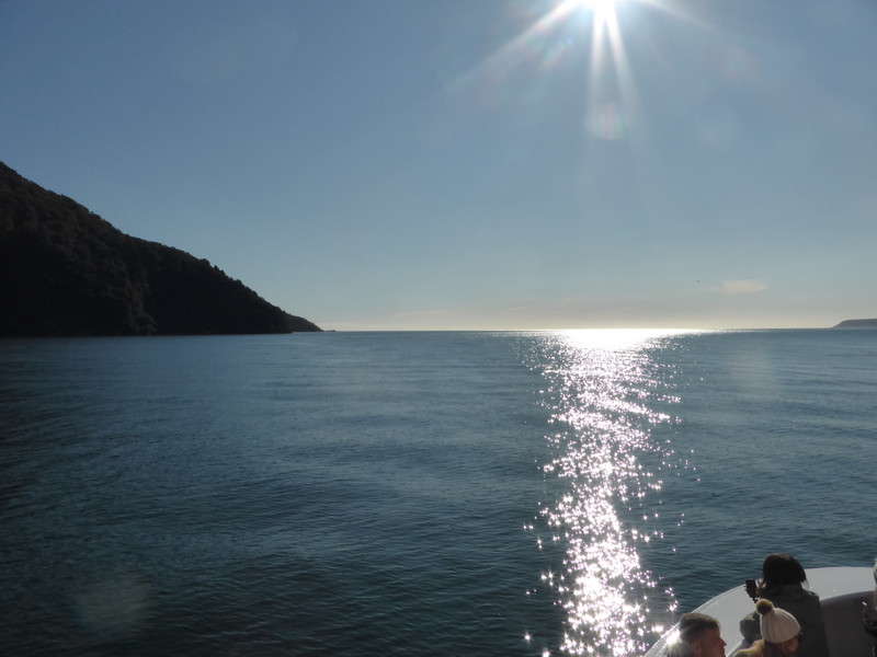 Milford Sound meets the Tasman Sea.