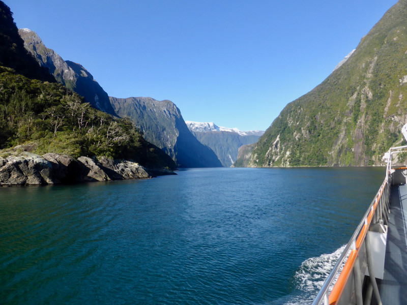 Heading Back Into Milford Sound.