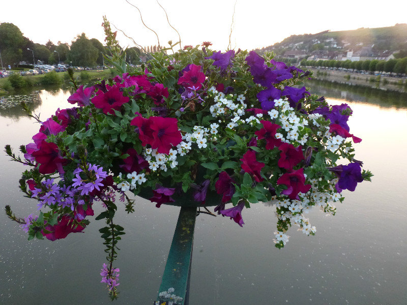 Flowers on the bridge. 