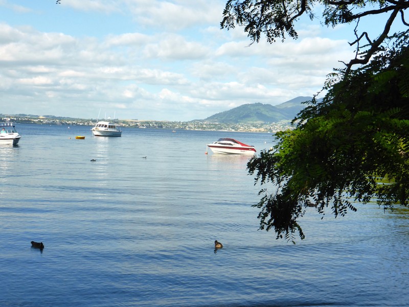 Lake Taupo. 