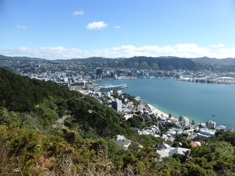 "You Can't Beat Wellington on a Good Day." 