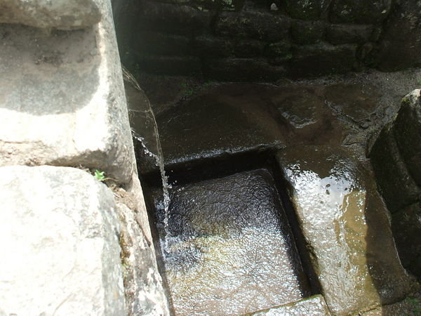 The water system