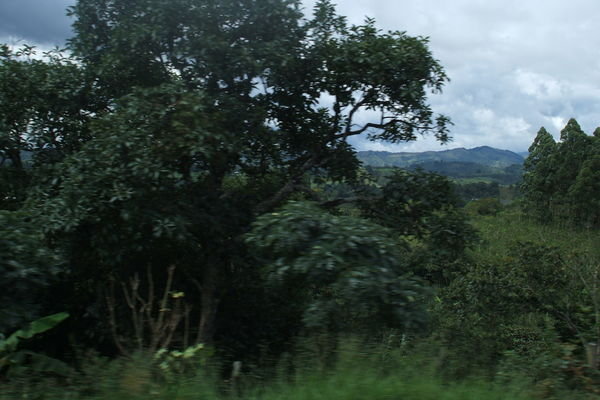 Countryside from the bus on the road to Popayan