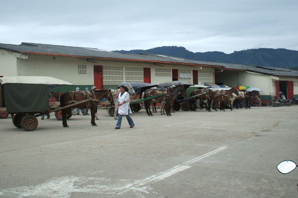 Vehicles and horses parked outside the market