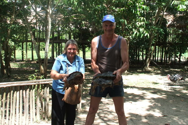 With prehistoric turtles