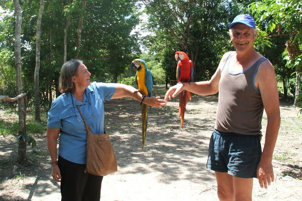 With Macaws