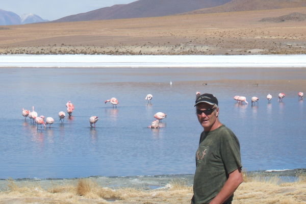 Lake of flamingos