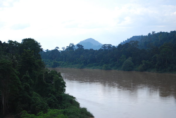 Rzeka Sungai Tembeling