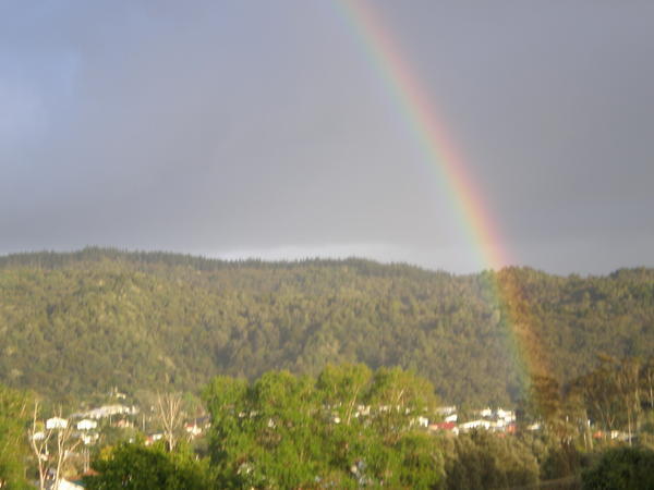 Rainbow Whangarai
