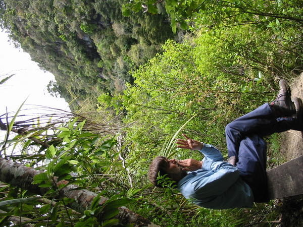 Picnic in Kauri Forest