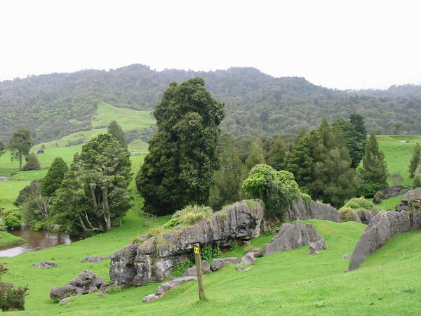 Waitomo valley -  view