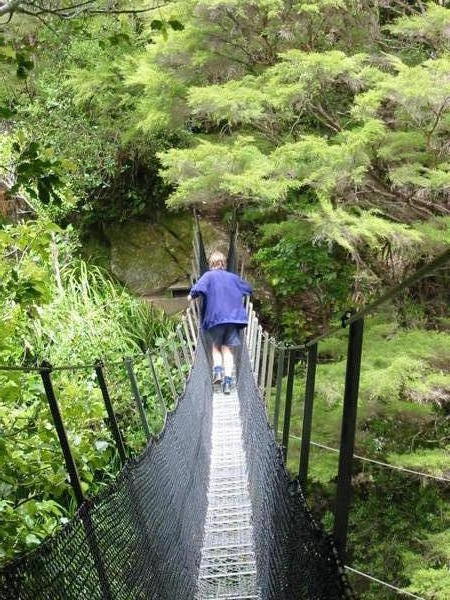Willy on a suspension bridge near Wainui falls